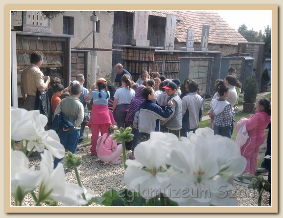 latogato00015