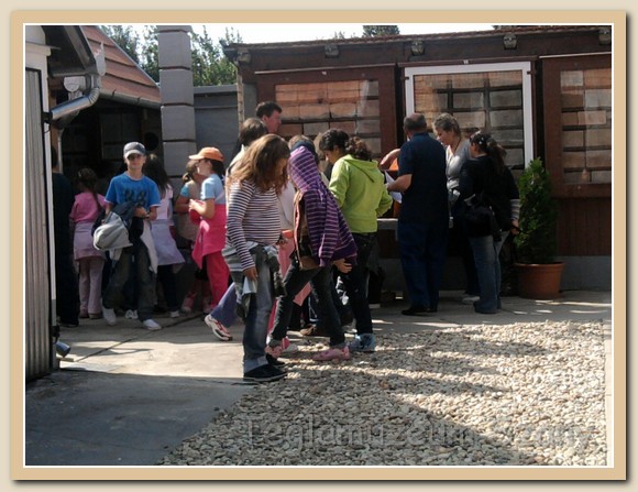 latogato00019